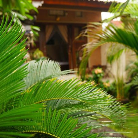 Rumahku Homestay アメッド エクステリア 写真