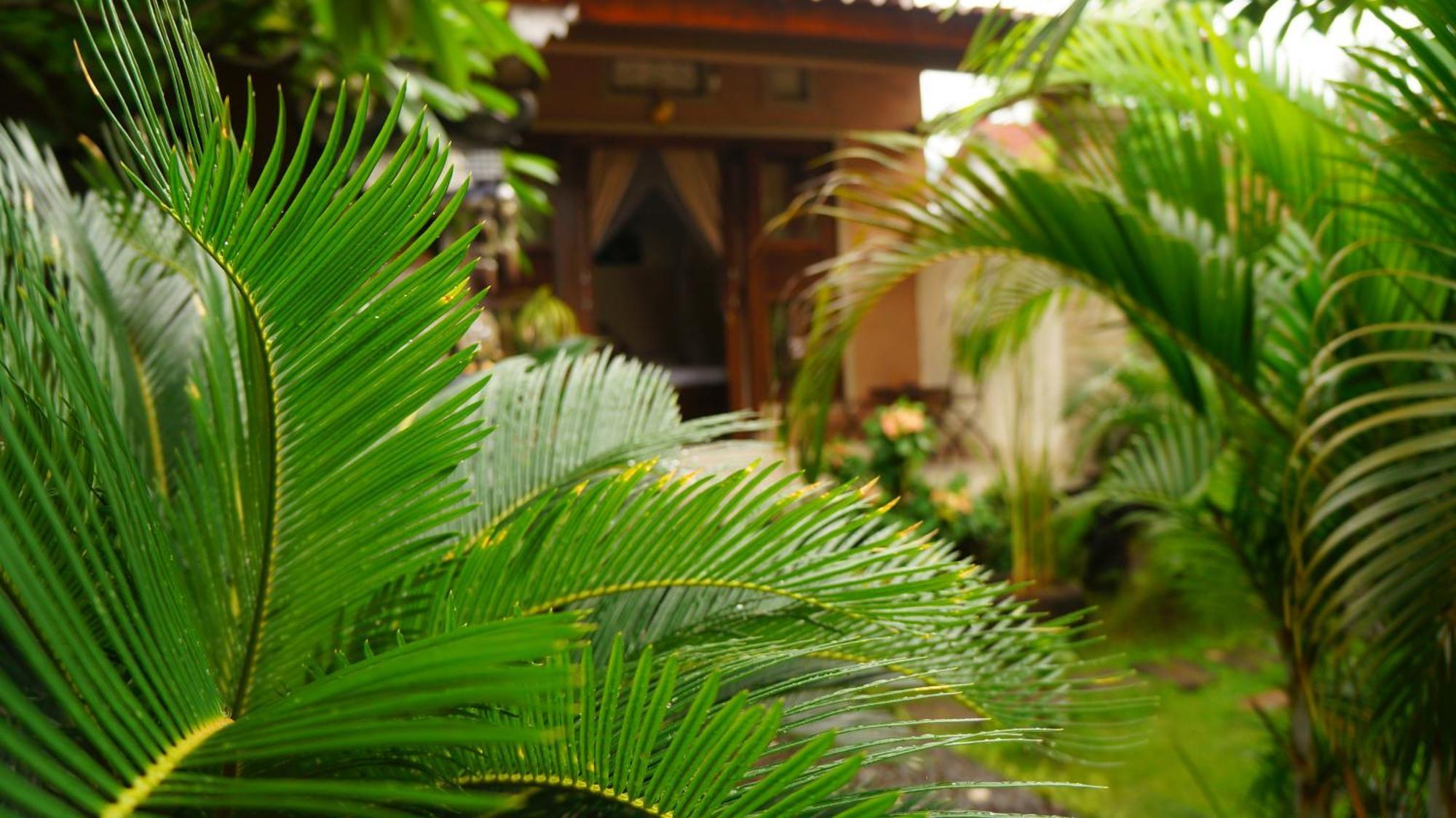 Rumahku Homestay アメッド エクステリア 写真